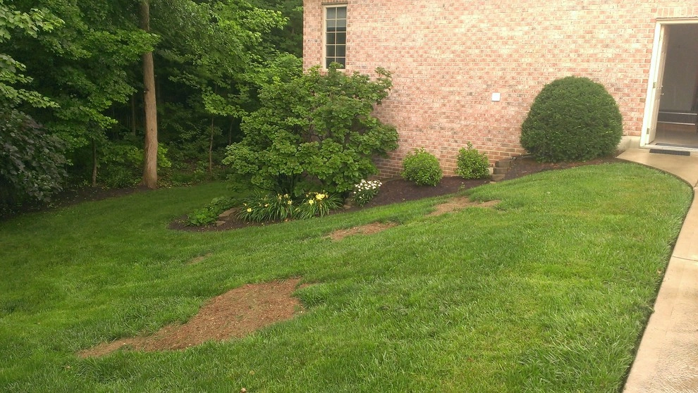 Bellbrook Landscaping Design by Buckeye Lawn & Landscaping | Oheil Irrigation Co. - Photo 16