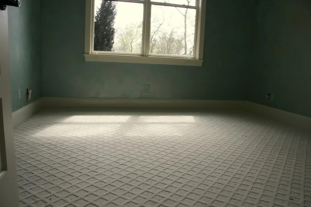 Rug Flooring by Aggieland Carpet One - Photo 13