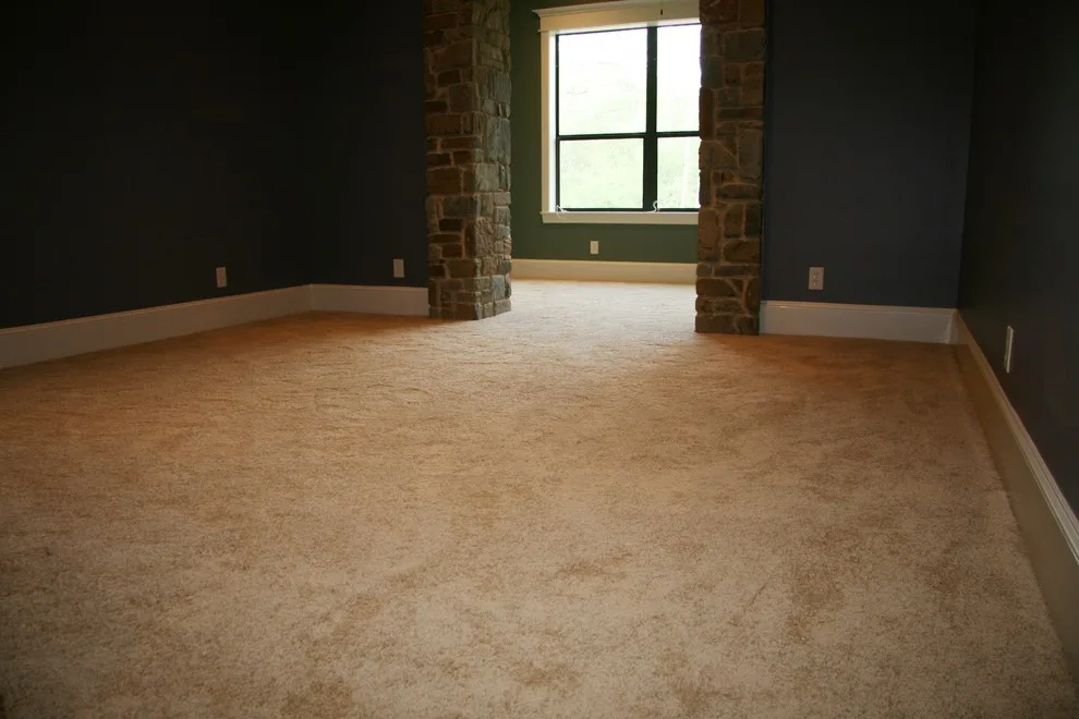 Rug Flooring by Aggieland Carpet One - Photo 20