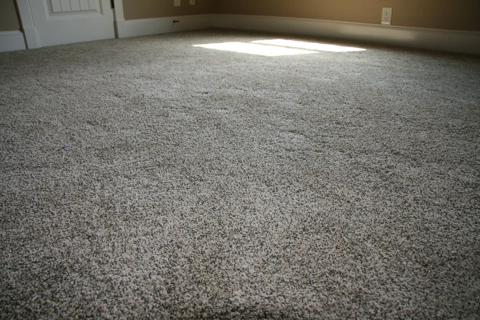 Rug Flooring by Aggieland Carpet One - Photo 11