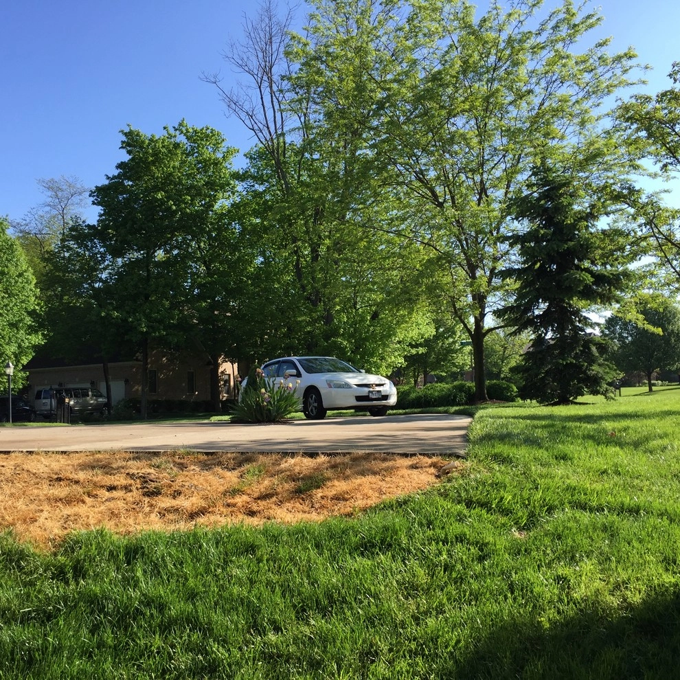 Bellbrook Landscaping Design by Buckeye Lawn & Landscaping | Oheil Irrigation Co. - Photo 21