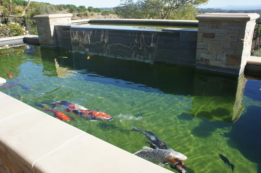 Water Features and Outdoor Showers by Tileco - Photo 8