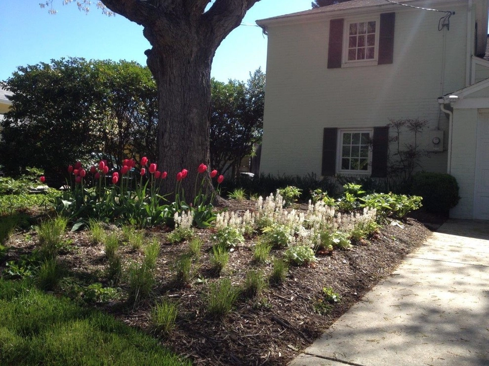 Native Plant Woodland by Landscape Design Associates - Photo 4