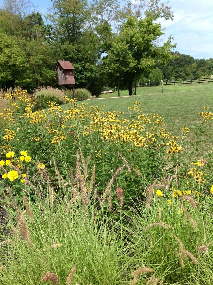 Landscape Design Associates - Photo 9