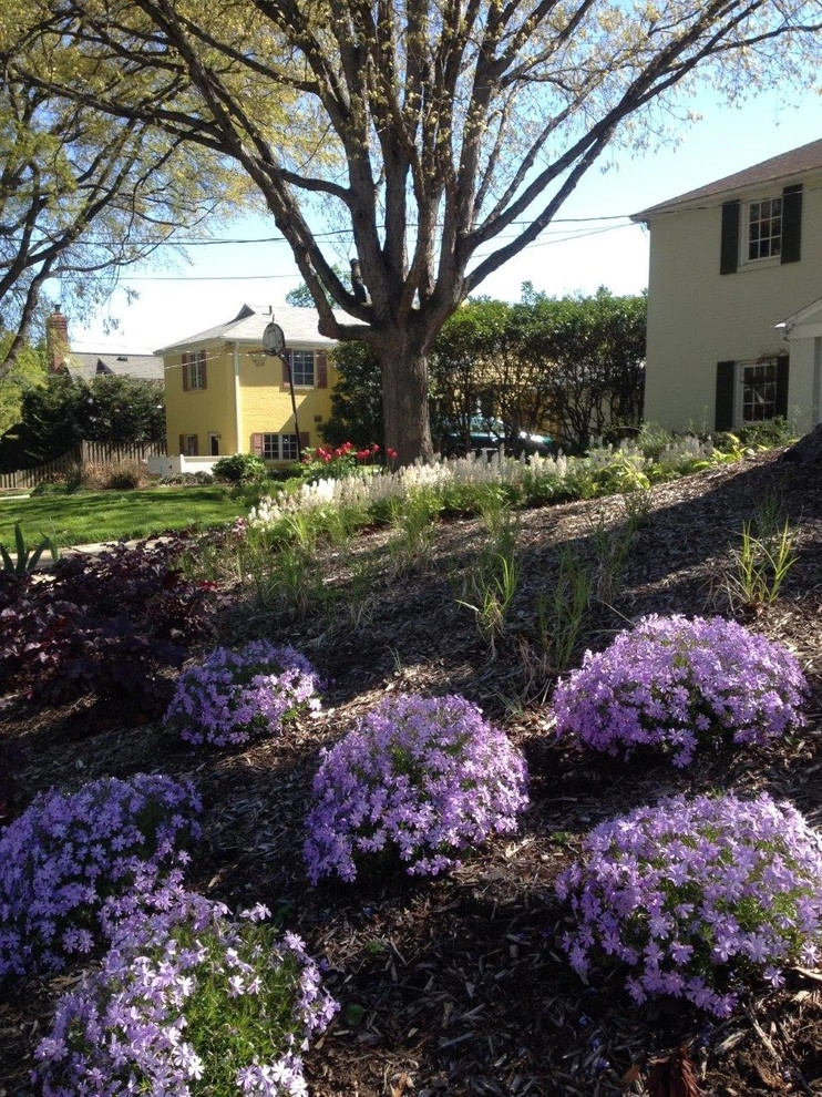 Native Plant Woodland by Landscape Design Associates - Photo 5