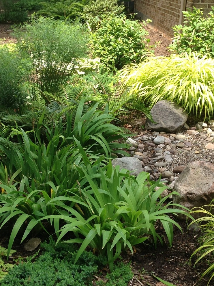 Textural Woodland Glade by Landscape Design Associates - Photo 3