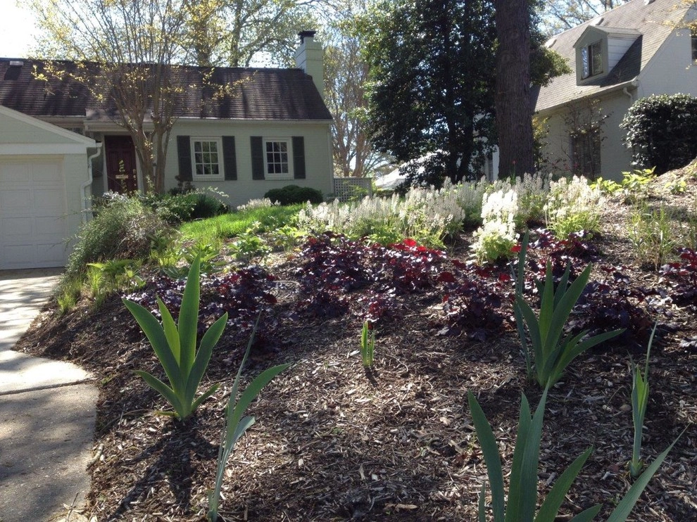 Native Plant Woodland by Landscape Design Associates - Photo 3