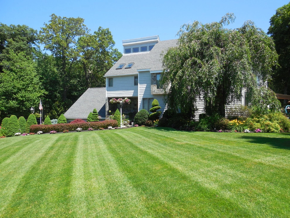 Lawn Dawg - Photo 14