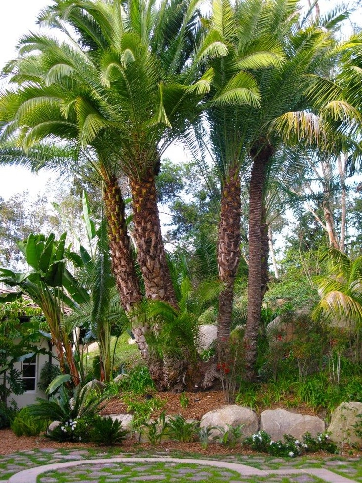 C & H Gardens Artistic Landscape & Tree Service - Photo 3