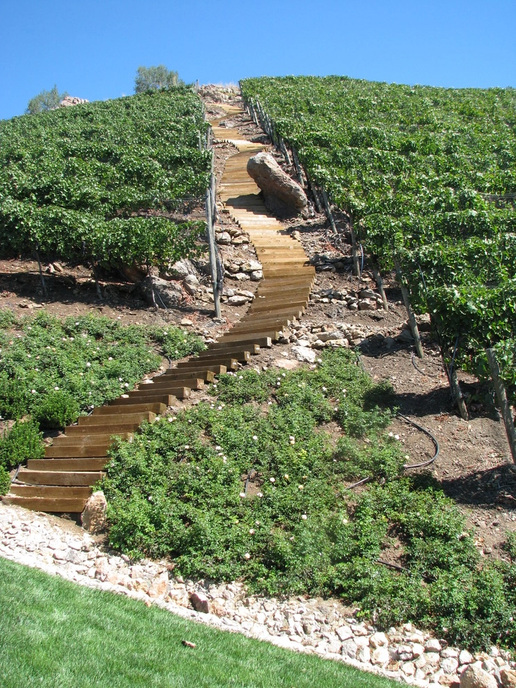 Malibu Rocky Oaks Estate Vineyards by Landscapes By Jeffery, Inc. - Photo 7