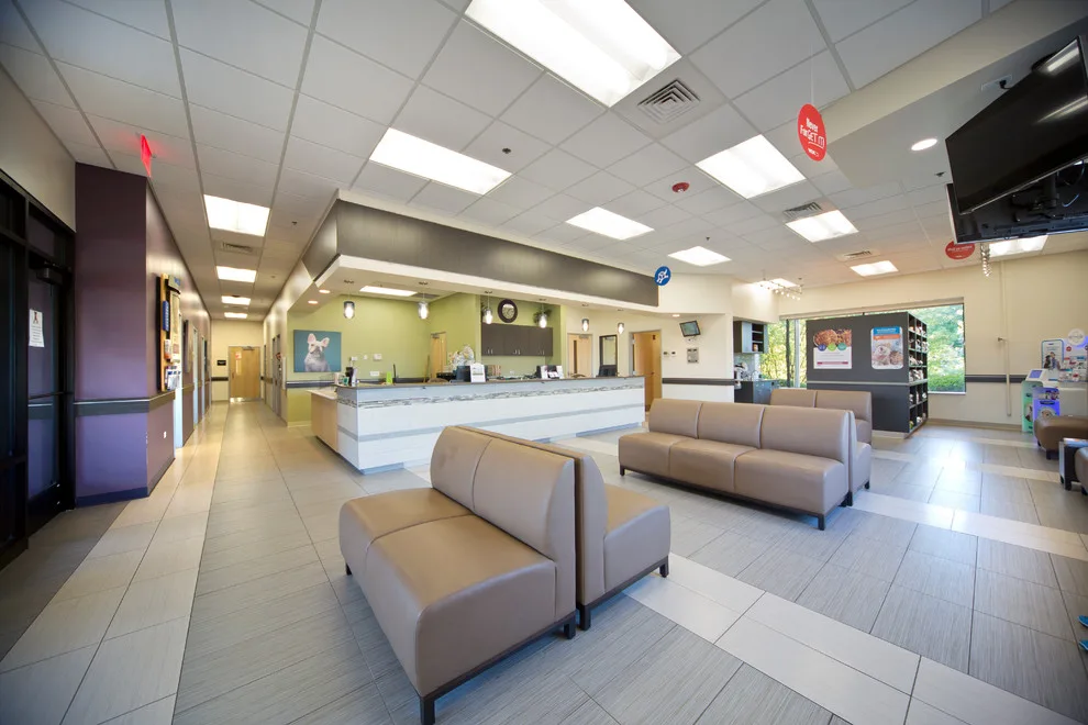 MD Design Architects by Natural Stone & Tile - Photo 5