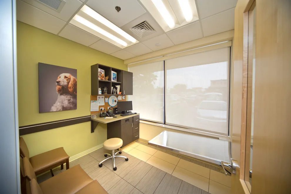 MD Design Architects by Natural Stone & Tile - Photo 4