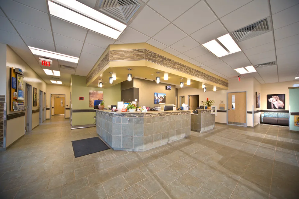MD Design Architects by Natural Stone & Tile - Photo 3