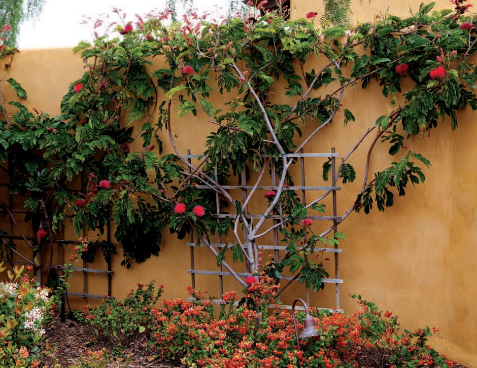 C & H Gardens Artistic Landscape & Tree Service - Photo 2