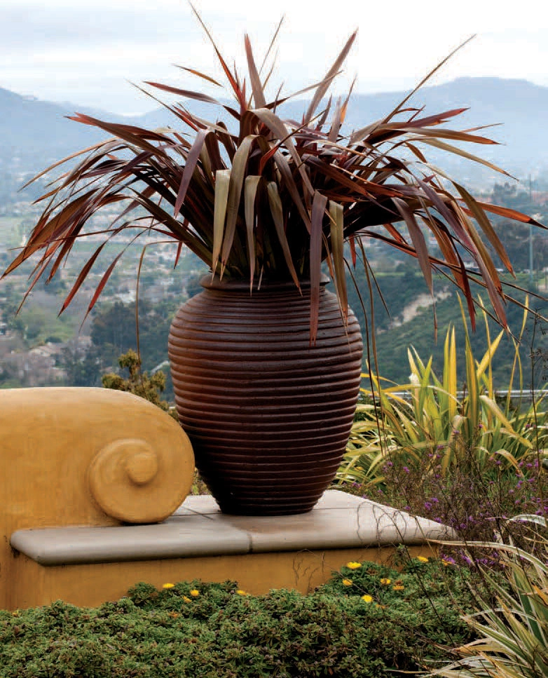 Encinitas Ranch Landscape Design - San Diego Landscape Designer by C & H Gardens Artistic Landscape & Tree Service - Photo 5