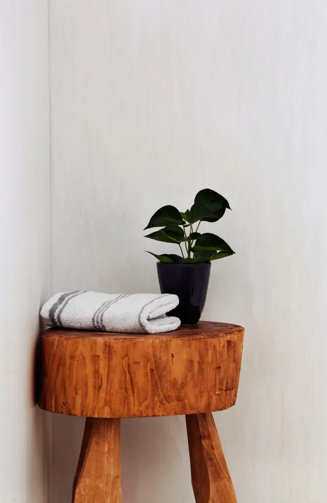The Organic Home by Wilsonart - Photo 11