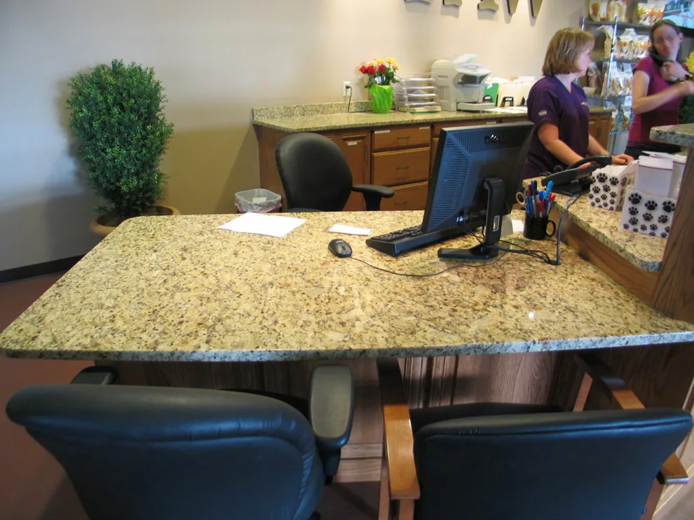 The Pet Workspace by Elegant Creations Granite Marble & More LLC - Photo 4