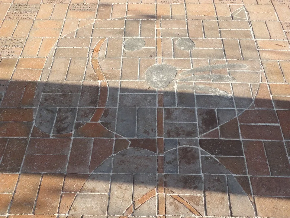 Phillips Ceramic Tile - Photo 6