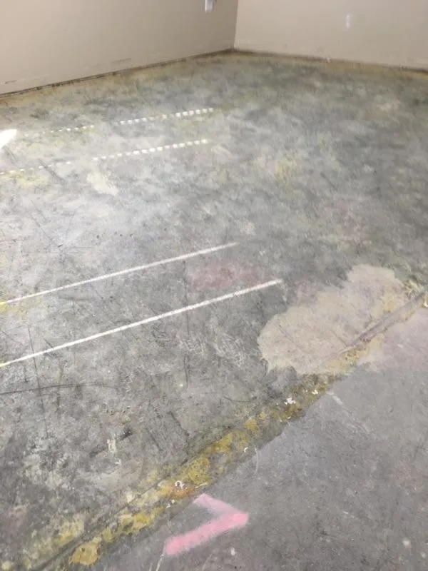 Pinto Renovation by Great Floors Kennewick - Jeremiah Gannon - Photo 4