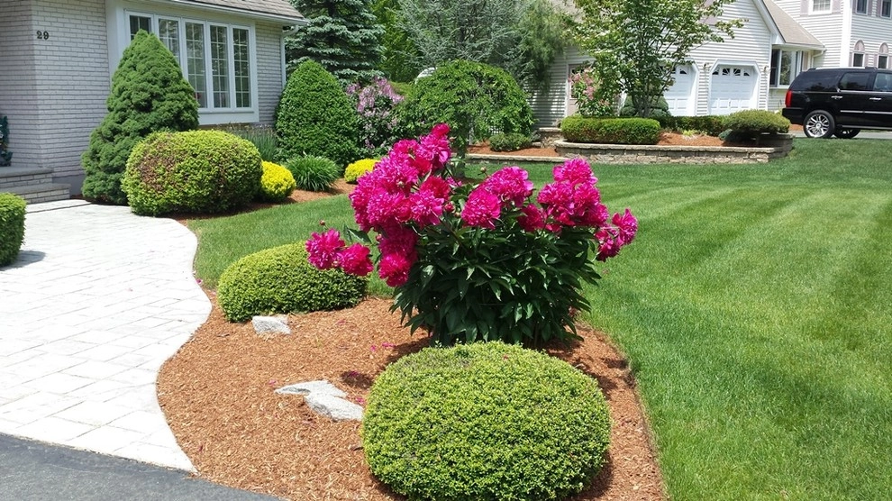 Massachusetts Lawns by Lawn Dawg - Photo 8