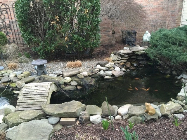 Moorestown 10'x20' Pond Rebuild by Landvista Aquascapes - Photo 2