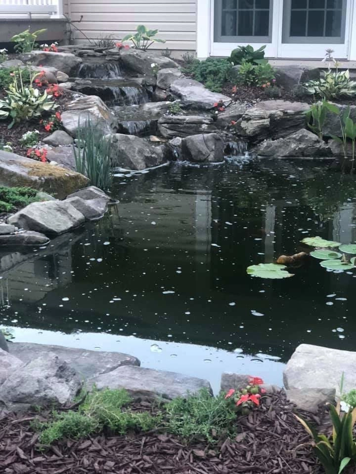 New 11x16' Backyard Ecosystem Pond in Berlin, NJ by Landvista Aquascapes - Photo 2
