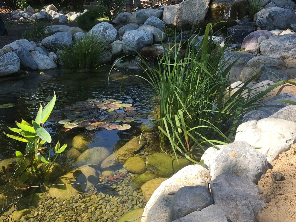 11x16 Ecosytem Wildlife Pond by Landvista Aquascapes - Photo 4