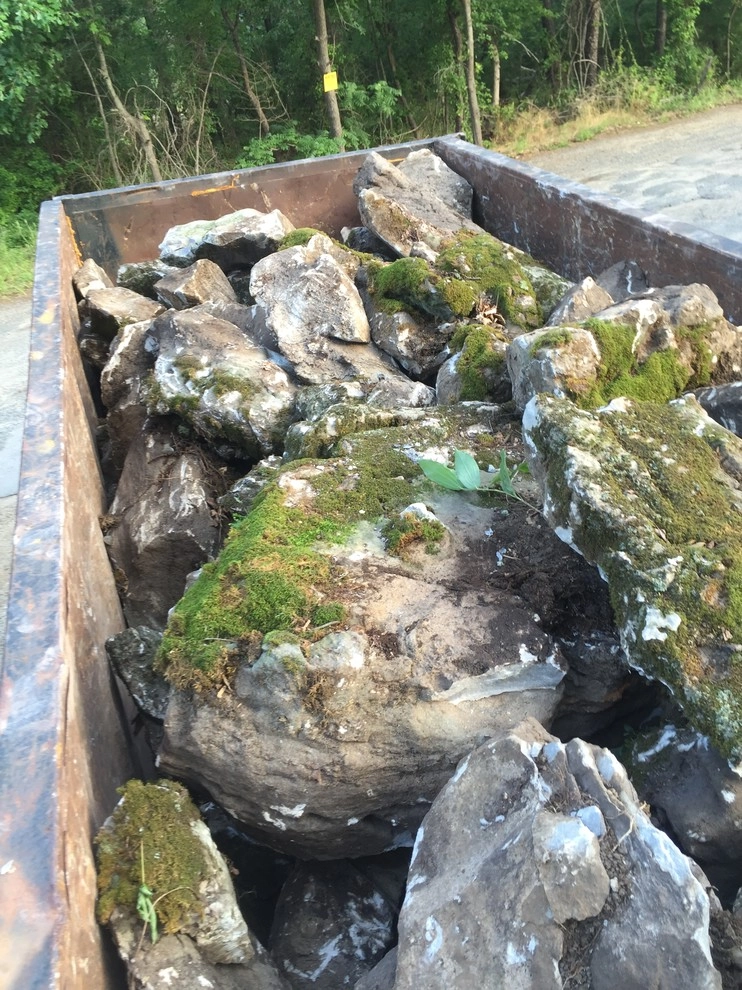 Large Pond Rebuild with Wetlands & Waterfall by Landvista Aquascapes - Photo 8