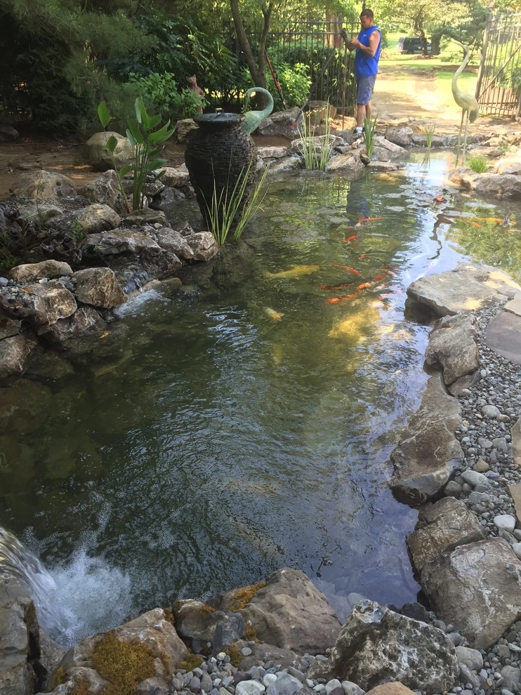 Large Pond Rebuild with Wetlands & Waterfall by Landvista Aquascapes - Photo 10