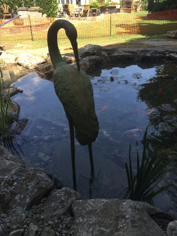 Large Pond Rebuild with Wetlands & Waterfall by Landvista Aquascapes - Photo 4