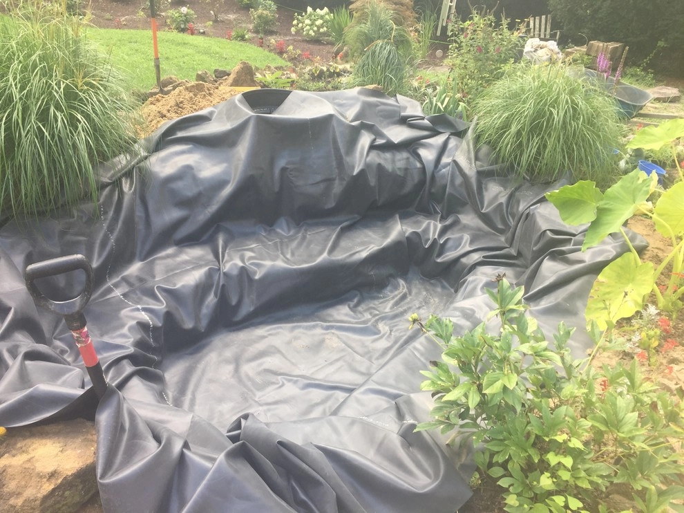 8'x11' Ecosystem Pond in Hammonton, NJ by Landvista Aquascapes - Photo 10