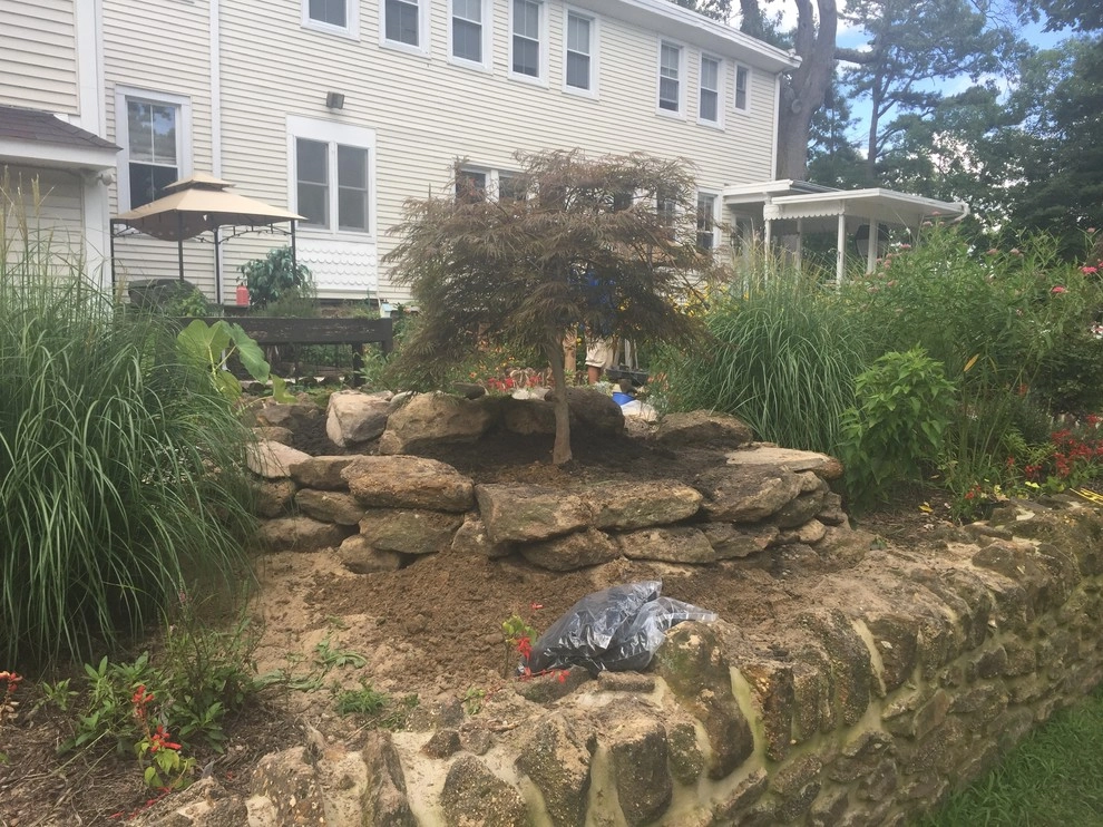 8'x11' Ecosystem Pond in Hammonton, NJ by Landvista Aquascapes - Photo 11