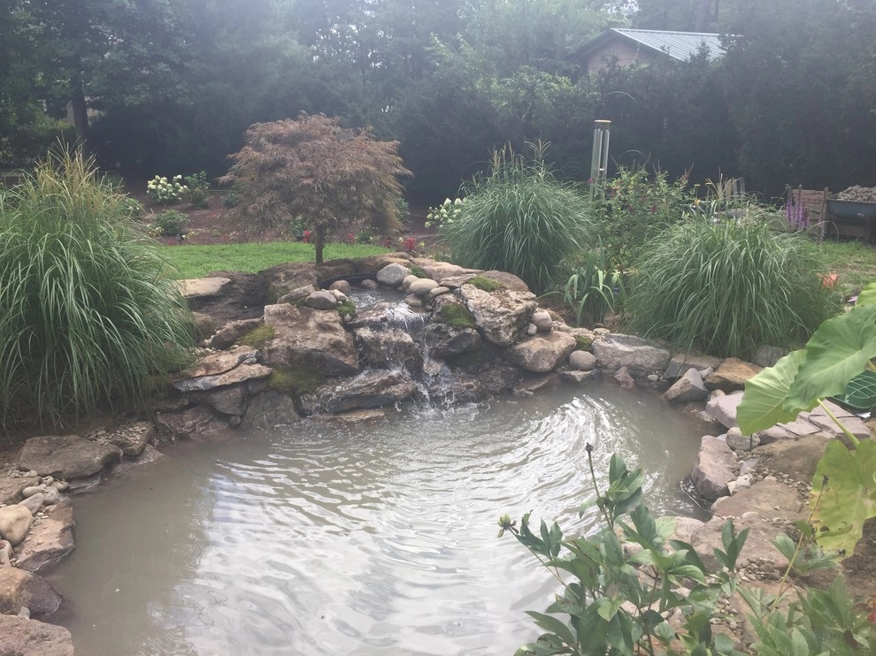 8'x11' Ecosystem Pond in Hammonton, NJ by Landvista Aquascapes - Photo 3