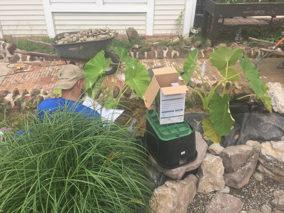 8'x11' Ecosystem Pond in Hammonton, NJ by Landvista Aquascapes - Photo 4