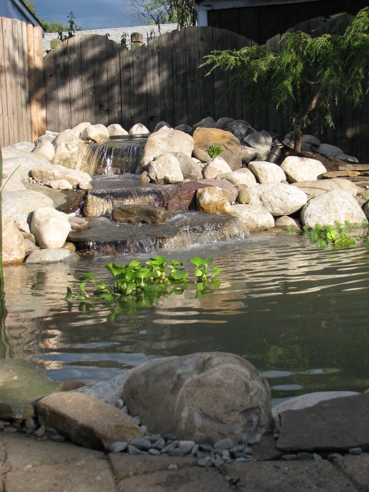 Pond Renovation Southampton, NJ by Landvista Aquascapes - Photo 5