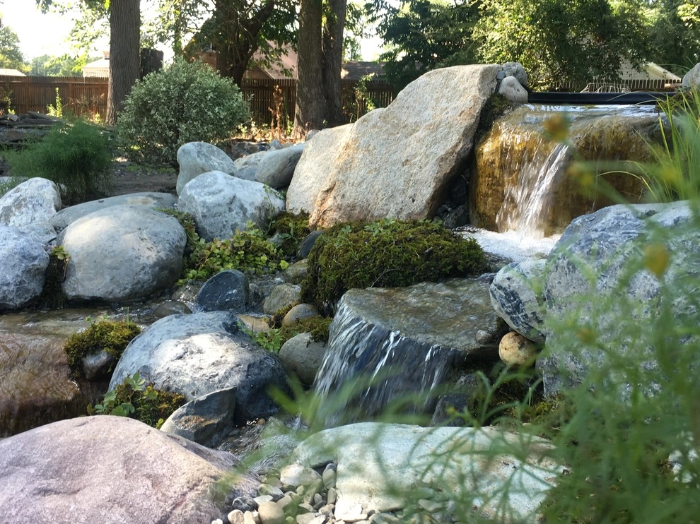11x16 Ecosytem Wildlife Pond by Landvista Aquascapes - Photo 6