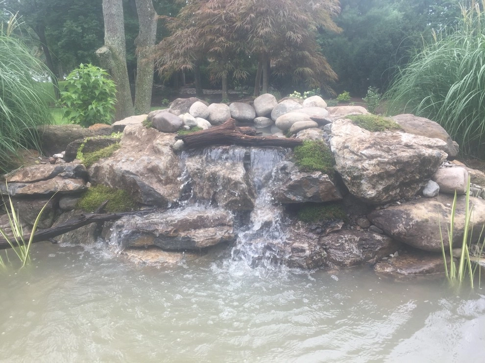 8'x11' Ecosystem Pond in Hammonton, NJ by Landvista Aquascapes - Photo 7