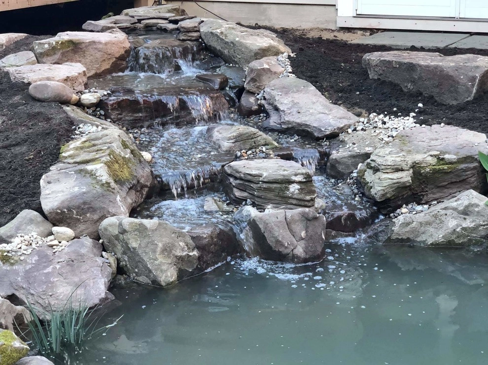 New 11x16' Backyard Ecosystem Pond in Berlin, NJ by Landvista Aquascapes - Photo 5