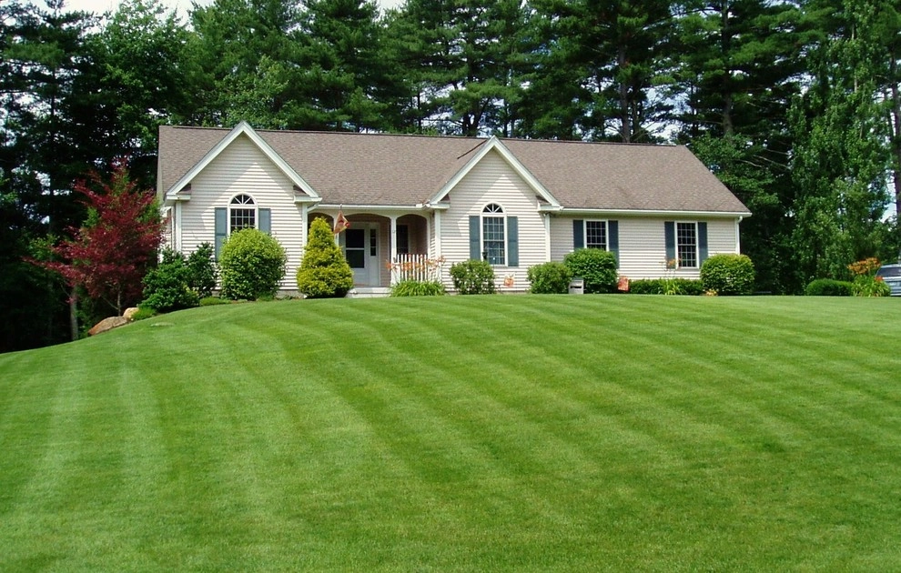 New Hampshire Lawns by Lawn Dawg - Photo 7