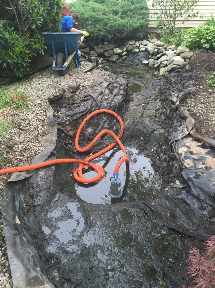 Moorestown 10'x20' Pond Rebuild by Landvista Aquascapes - Photo 12
