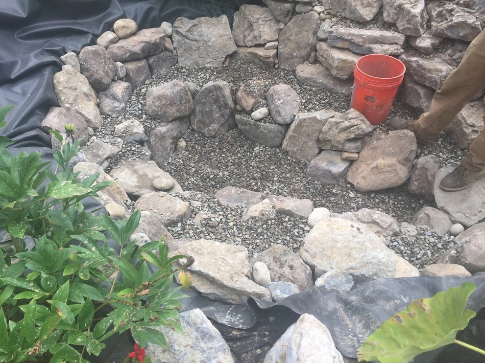 8'x11' Ecosystem Pond in Hammonton, NJ by Landvista Aquascapes - Photo 2