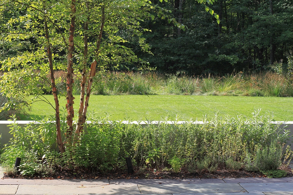 Wild Harbor Garden by C2 | Studio Landscape Architecture - Photo 6