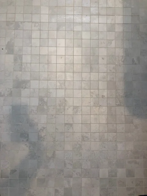 Regymen Wellness by Metro Floors & More Llc - Photo 14