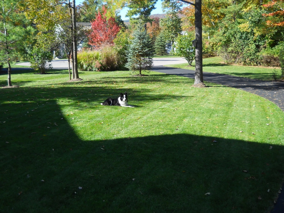 Pet-Friendly Yards by Lawn Dawg - Photo 4