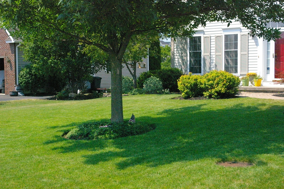 New York Lawns by Lawn Dawg - Photo 2
