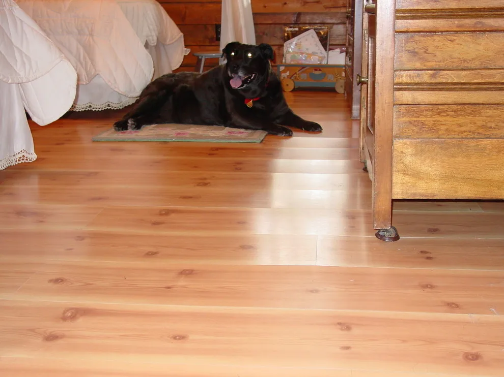 Laminate Flooring with a Wood Appearance by Aggieland Carpet One - Photo 8