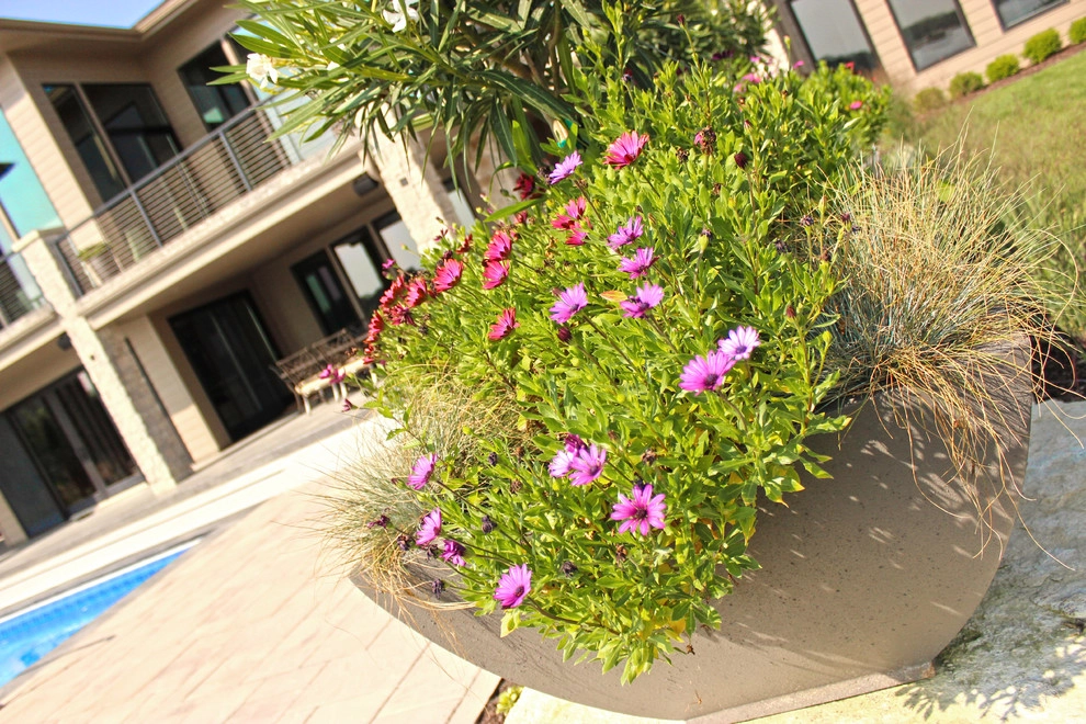 Planter Paradise by Lanoha Nurseries - Photo 7