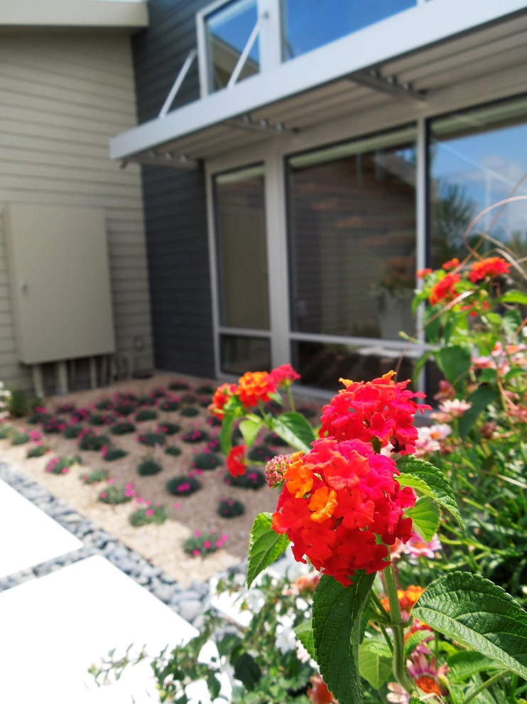 Backyard Beach by Lanoha Nurseries - Photo 11