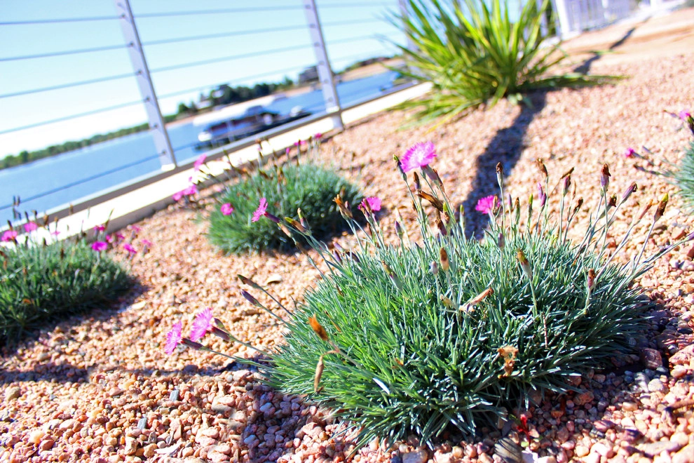 Backyard Beach by Lanoha Nurseries - Photo 16