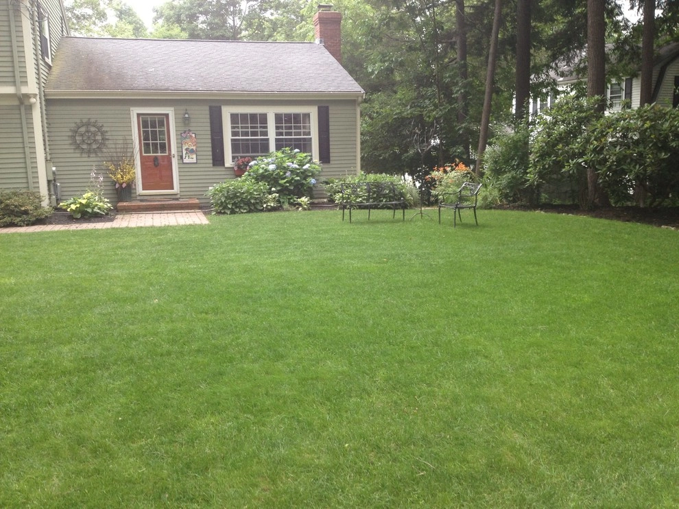 Lawn Dawg - Photo 3